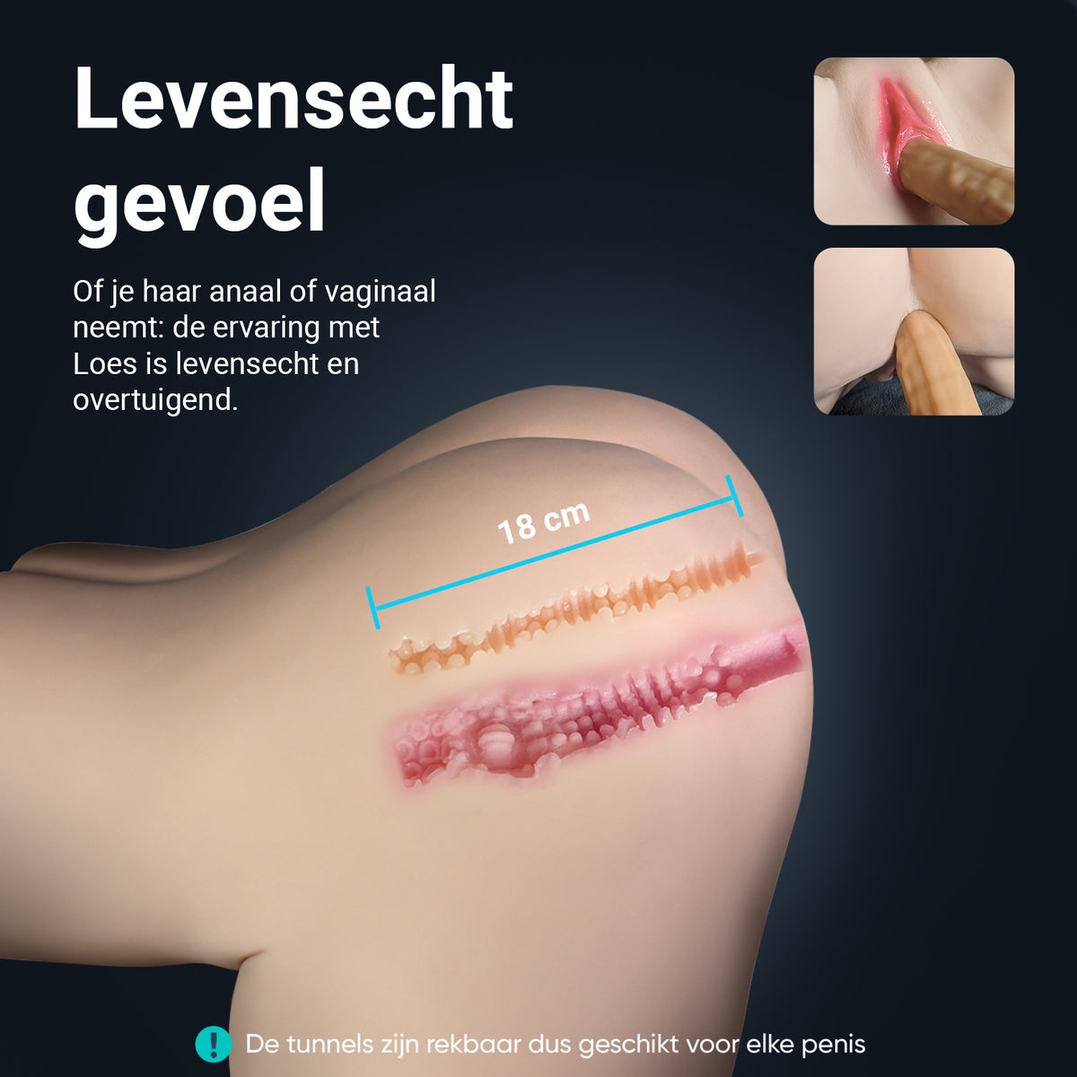 Infographic Loes: lifelike feel, stretchy vaginal and anal tunnel of 18 cm